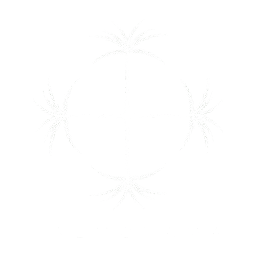 Palmorama